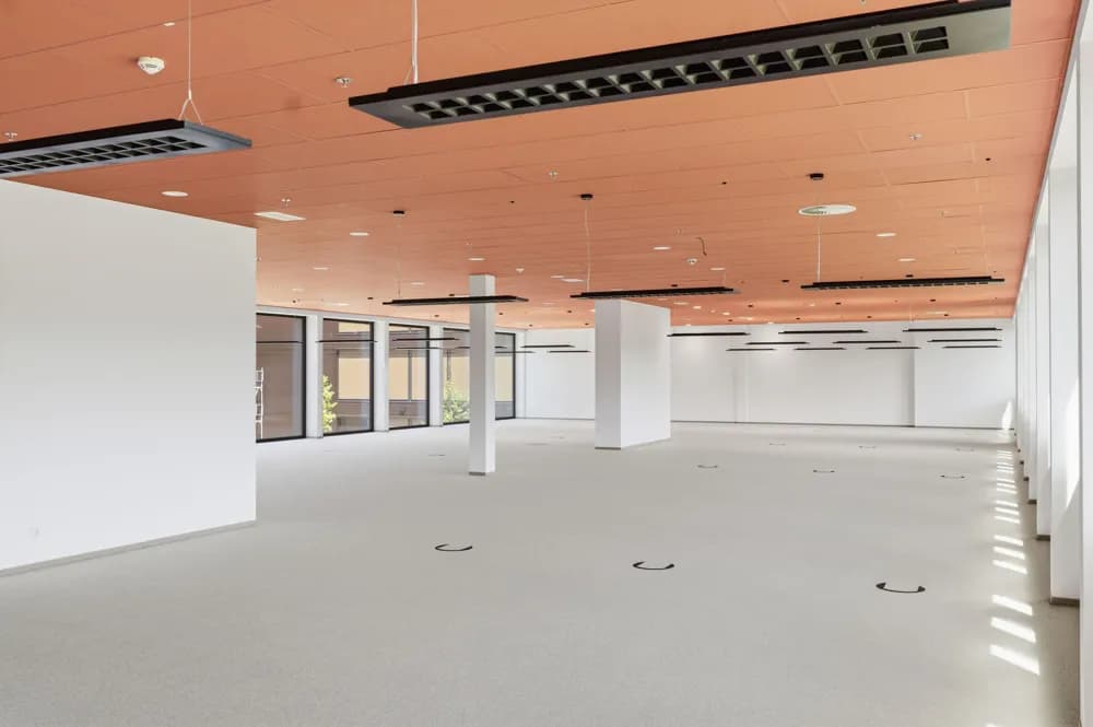 Gewerbeimmobilie mieten in Bregenz – 686 m²