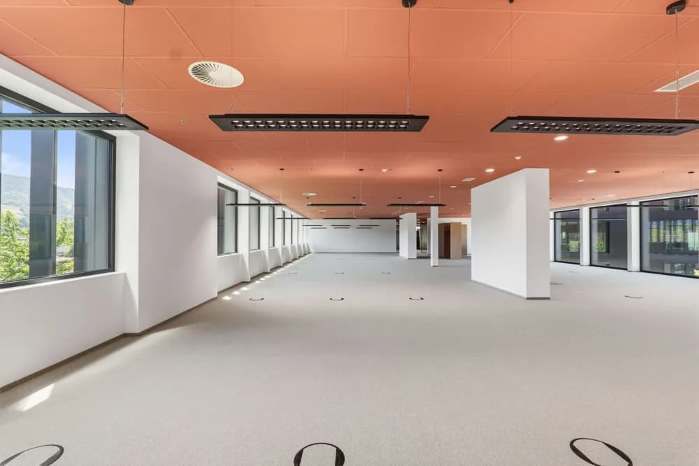 Gewerbeimmobilie mieten in Bregenz – 686 m² – Bild 3 von 14