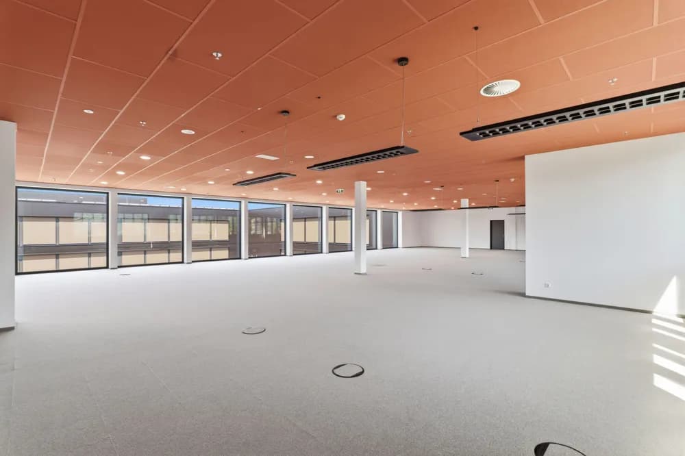 Gewerbeimmobilie mieten in Bregenz – 443 m² – Bild 3 von 14