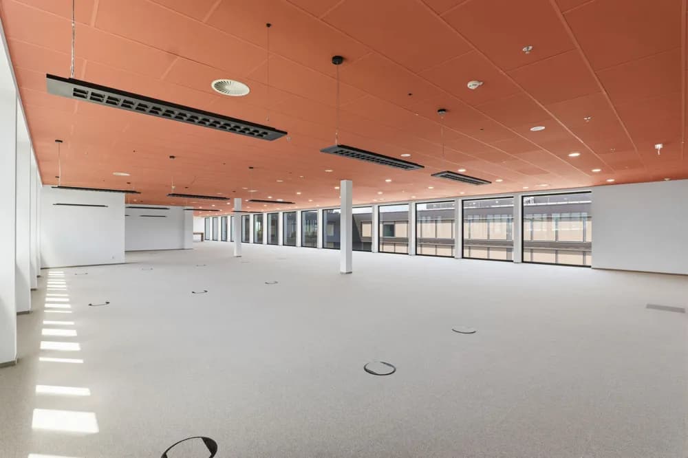 Gewerbeimmobilie mieten in Bregenz – 443 m² – Bild 6 von 14