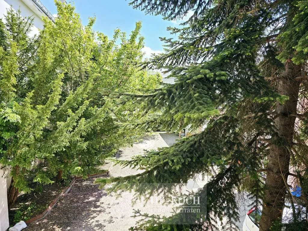 Wohnung kaufen in Korneuburg – 235 m², € 120.000 – Bild 4 von 8