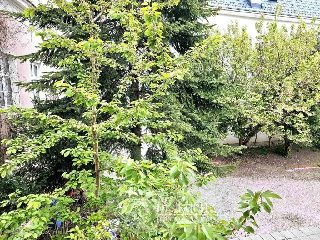 5-Zimmer-Wohnung kaufen in Korneuburg – 166 m², € 379.000 – Bild 9 von 17