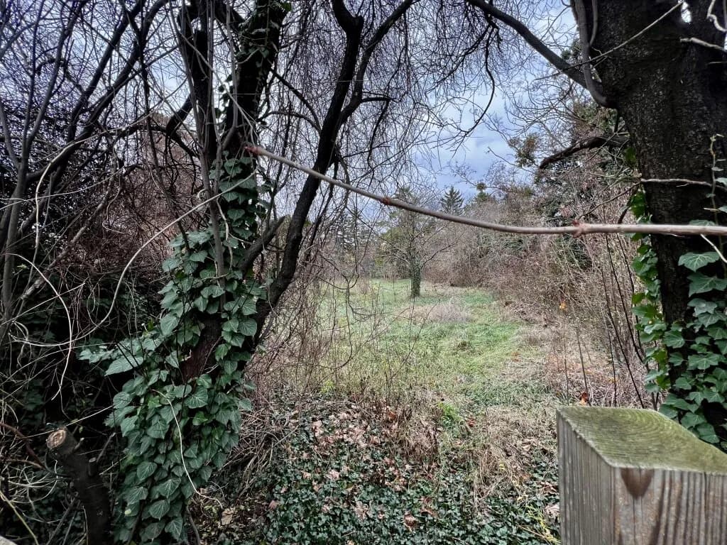 Grundstück kaufen in Wien – 1 283 m², € 1.550.000 – Bild 5 von 5