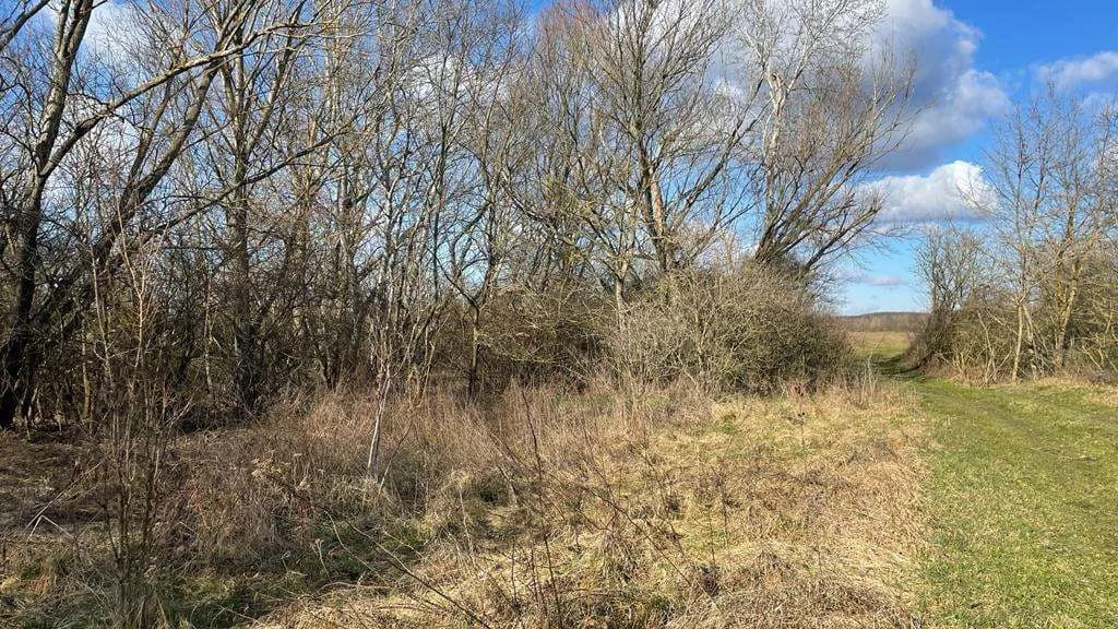 Grundstück kaufen in Österreich – 4 340 m², € 59.000