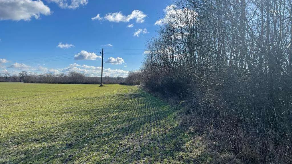 Grundstück kaufen in Österreich – 4 340 m², € 59.000 – Bild 6 von 17