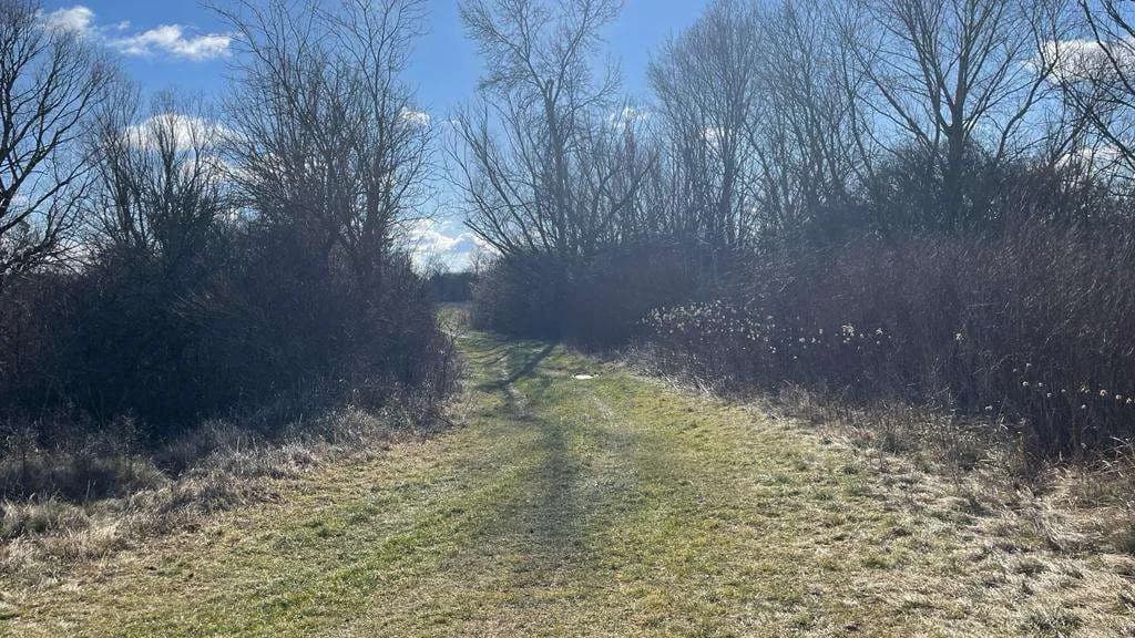 Grundstück kaufen in Österreich – 4 340 m², € 59.000 – Bild 7 von 17