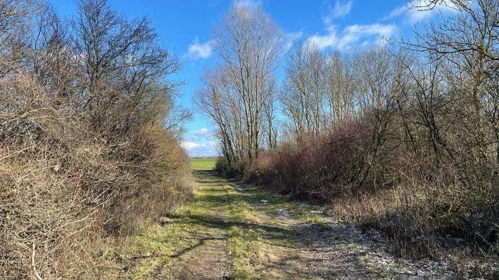 Grundstück kaufen in Österreich – 4 340 m², € 59.000 – Bild 8 von 17