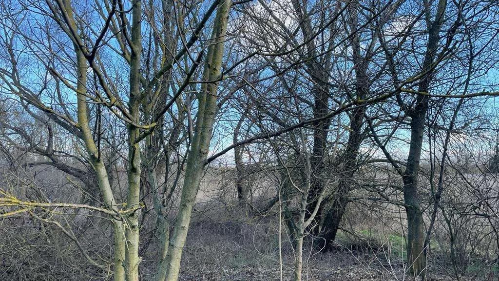 Grundstück kaufen in Österreich – 4 340 m², € 59.000 – Bild 9 von 17