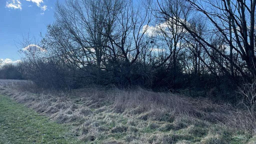 Grundstück kaufen in Österreich – 4 340 m², € 59.000 – Bild 10 von 17