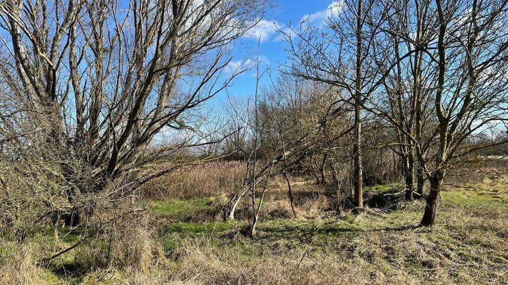 Grundstück kaufen in Österreich – 4 340 m², € 59.000 – Bild 11 von 17