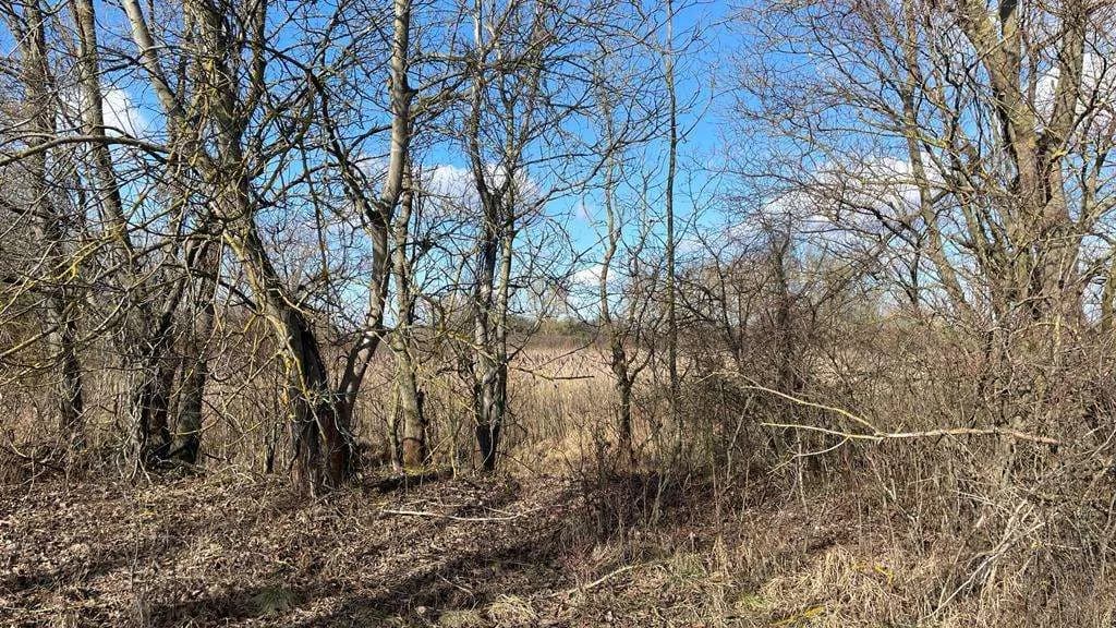 Grundstück kaufen in Österreich – 4 340 m², € 59.000 – Bild 12 von 17