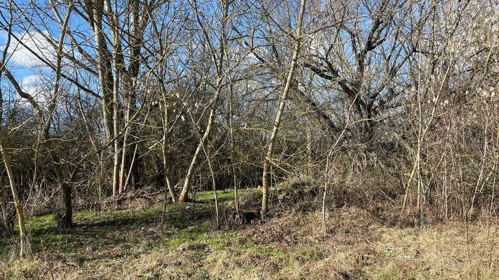 Grundstück kaufen in Österreich – 4 340 m², € 59.000 – Bild 13 von 17
