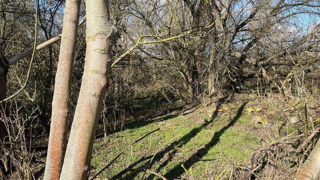 Grundstück kaufen in Österreich – 4 340 m², € 59.000 – Bild 14 von 17