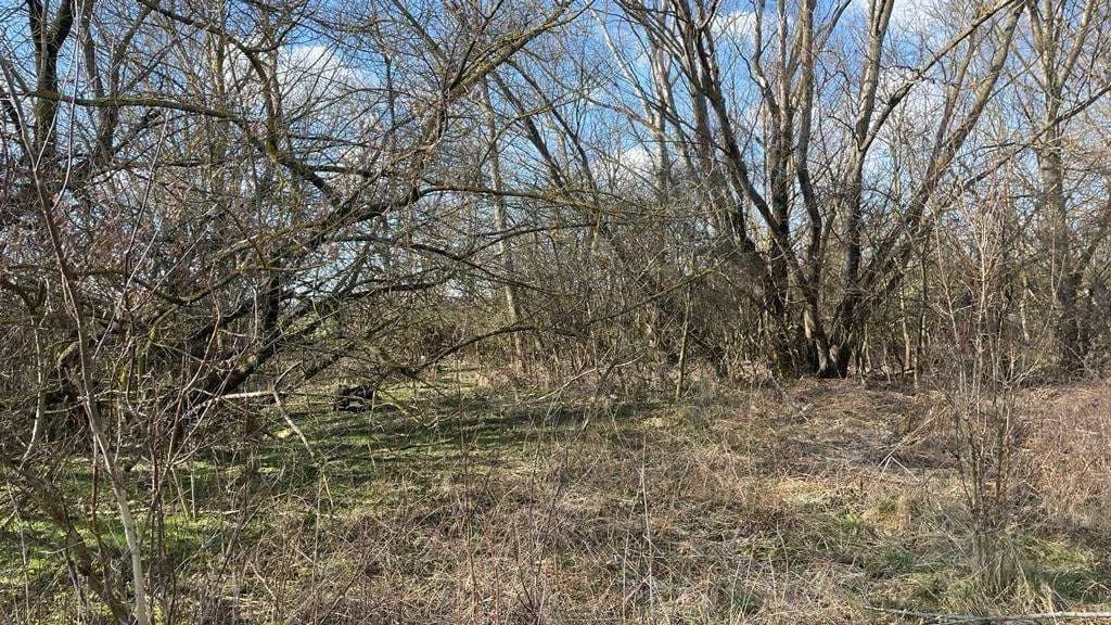 Grundstück kaufen in Österreich – 4 340 m², € 59.000 – Bild 15 von 17