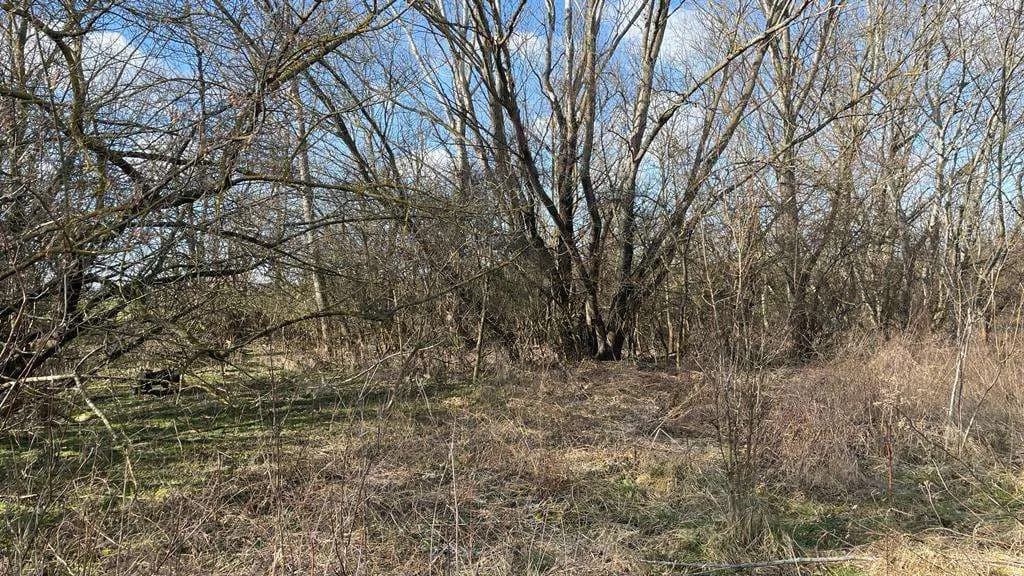 Grundstück kaufen in Österreich – 4 340 m², € 59.000 – Bild 16 von 17