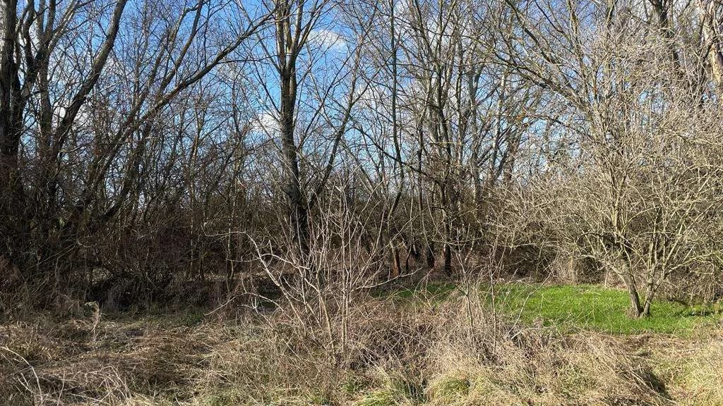 Grundstück kaufen in Österreich – 4 340 m², € 59.000 – Bild 17 von 17