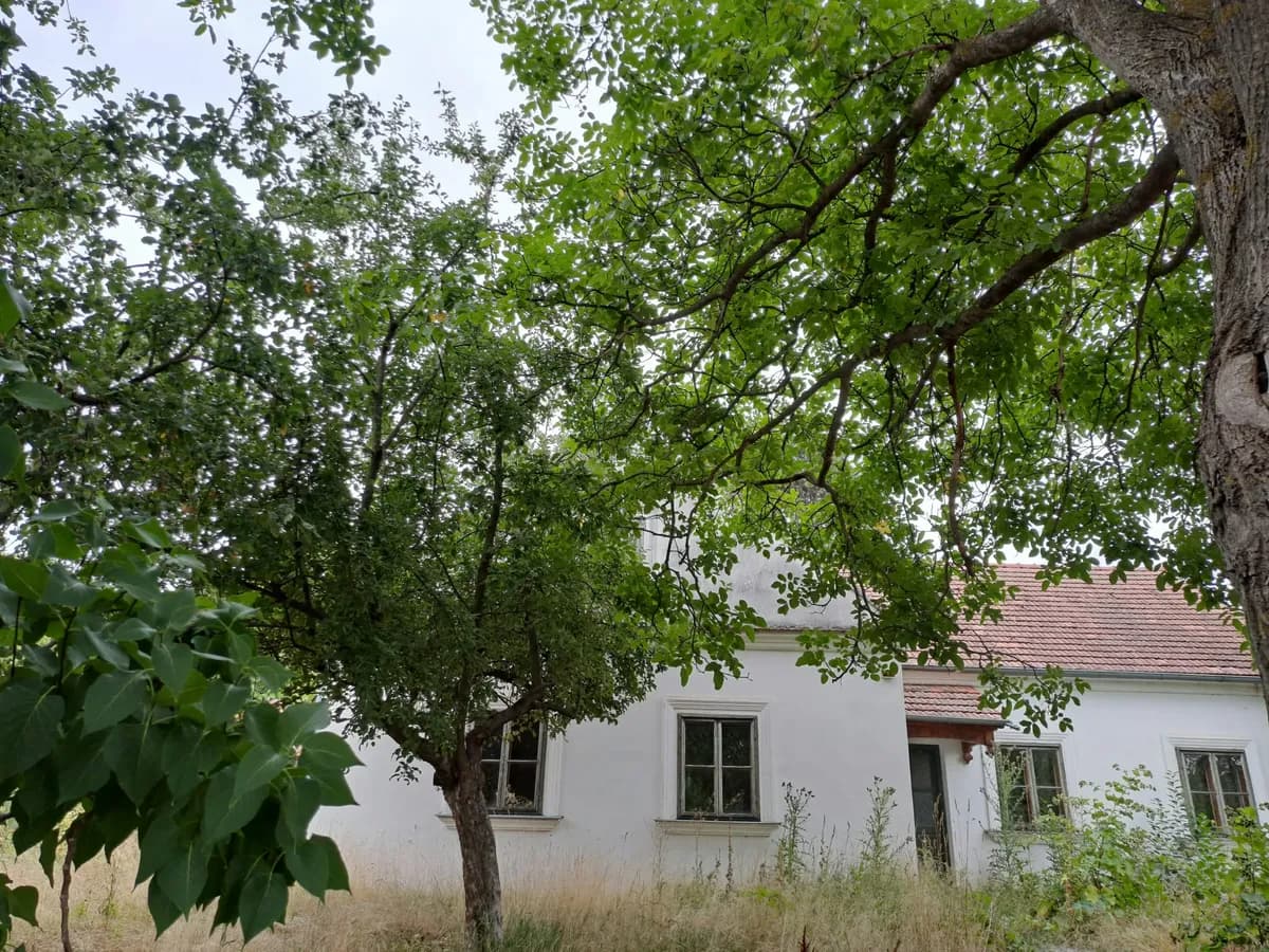 5-Zimmer-Haus kaufen in Mistelbach – 150 m², € 120.000 – Bild 5 von 5