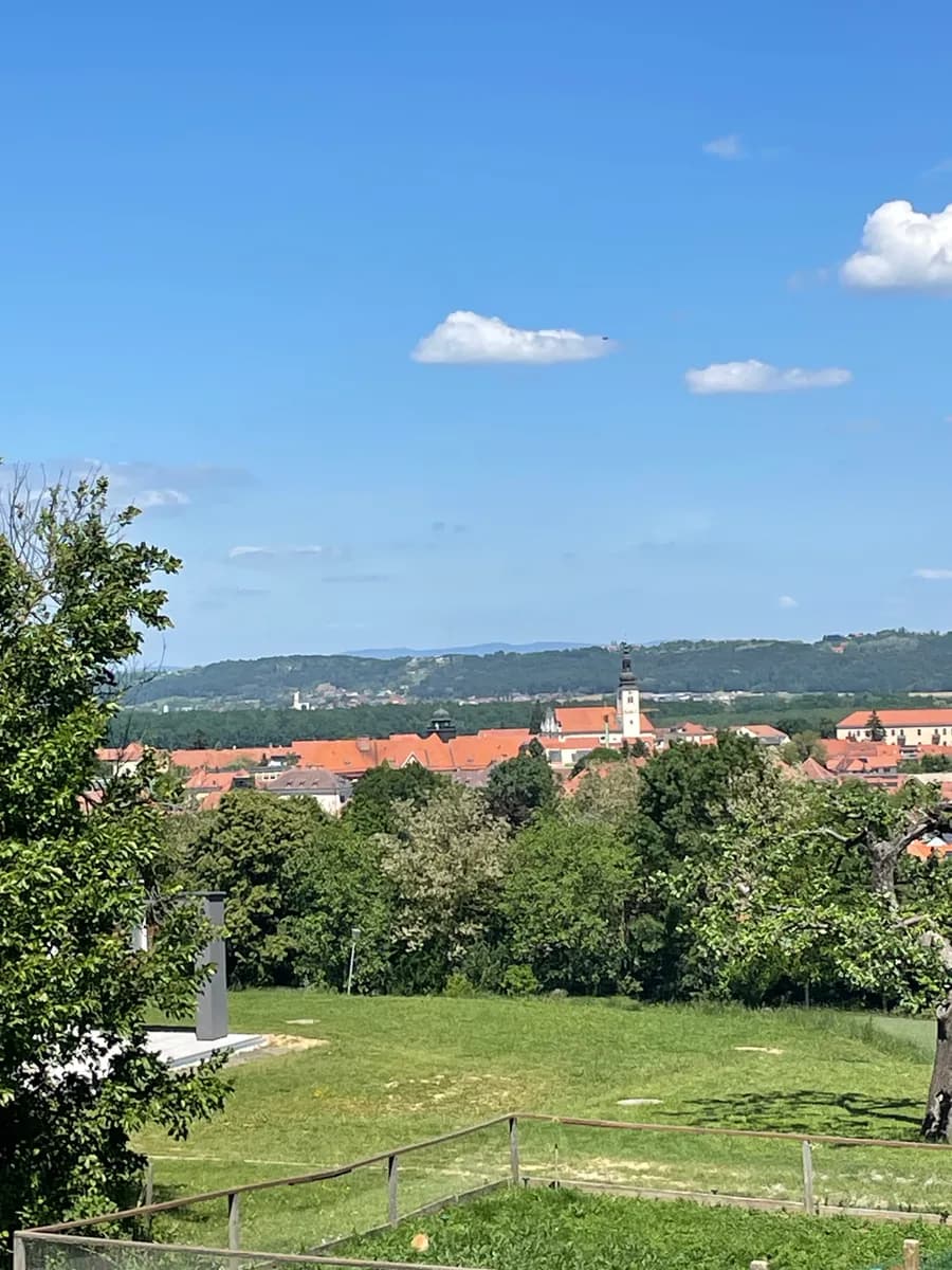 Wohnung mieten in Hartberg-Fürstenfeld – 94 m², € 1.400 – Bild 3 von 53