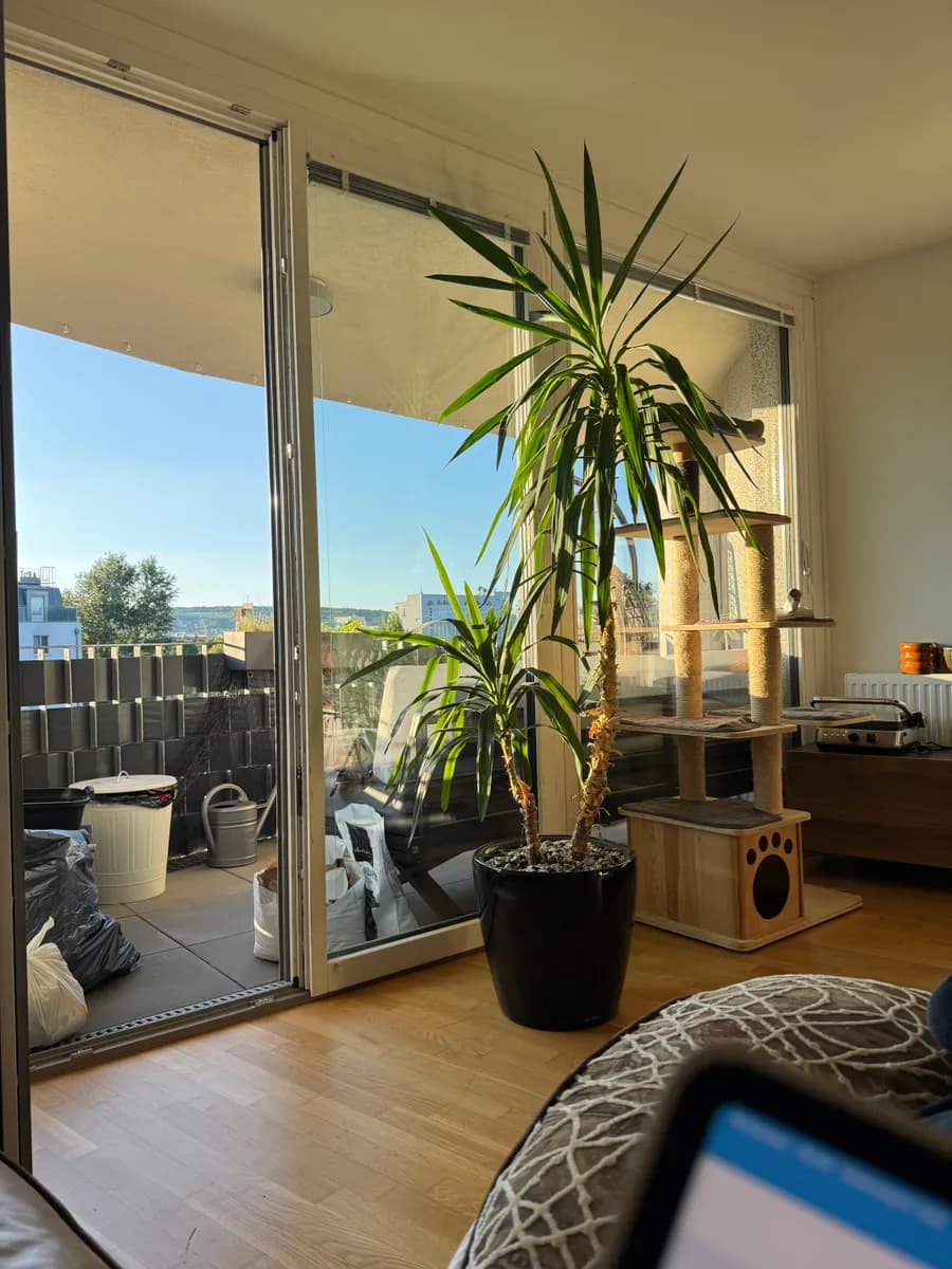 2-Zimmer-Wohnung mieten in Wien – 56 m², € 775 – Bild 3 von 10