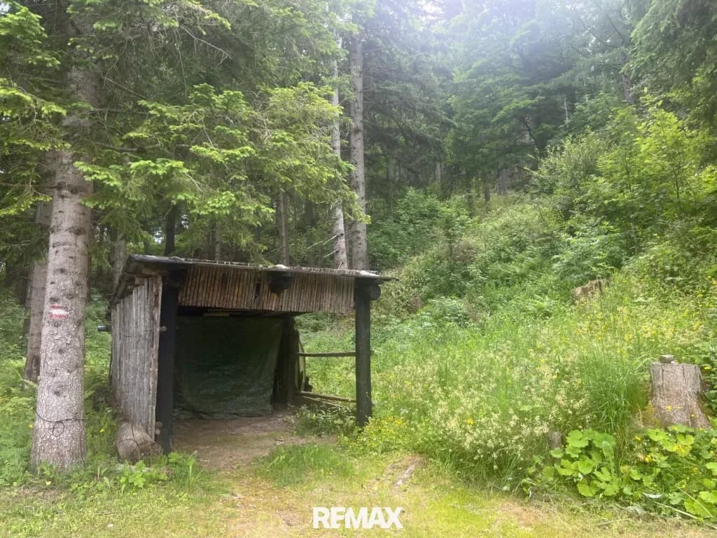2-Zimmer-Immobilie mieten in Leoben – 52 m², € 499 – Bild 8 von 12