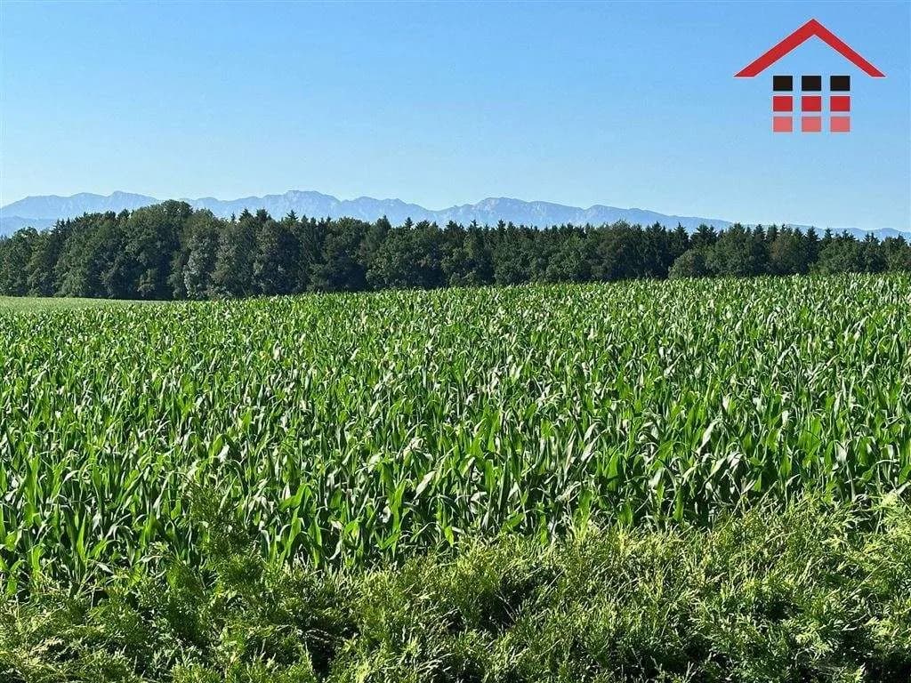4-Zimmer-Haus kaufen in Vöcklabruck – 135 m², € 479.000 – Bild 9 von 15
