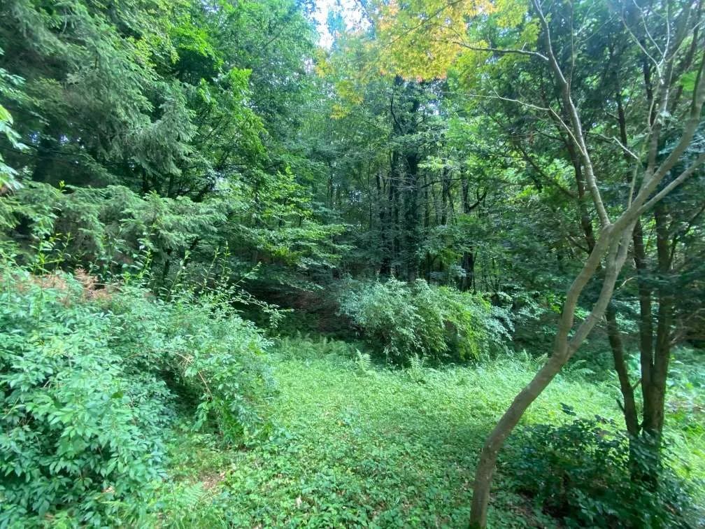 Grundstück kaufen in Graz – 3 693 m², € 491.000 – Bild 4 von 8