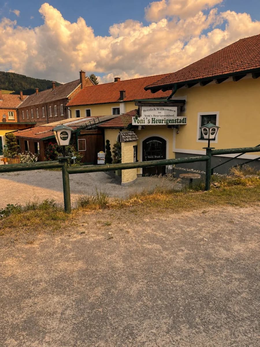 Gewerbeimmobilie kaufen in Lilienfeld – 810 m², € 875.000 – Bild 3 von 49