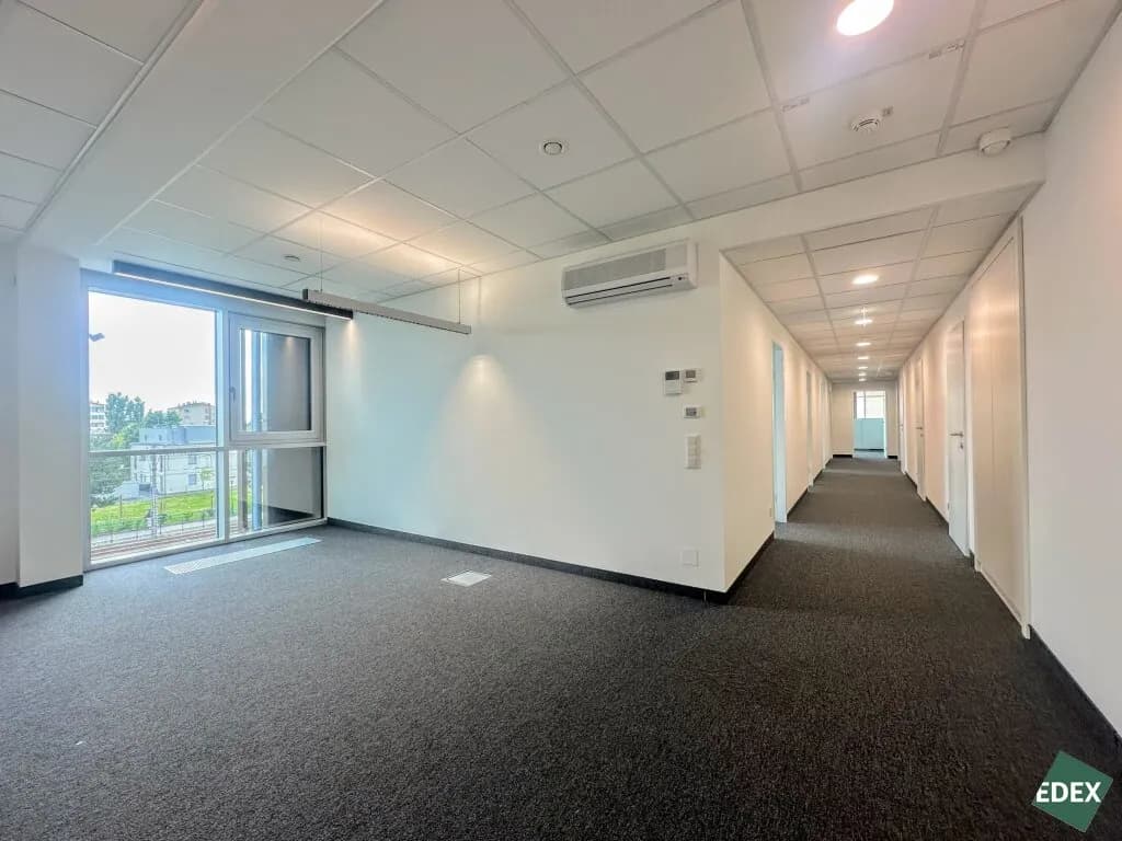 7-Zimmer-Gewerbeimmobilie mieten in Mödling – 250 m², € 4.742 – Bild 5 von 9