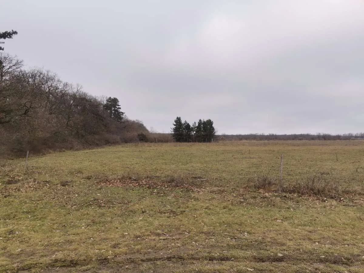 Immobilie kaufen in Österreich – 24 000 m²