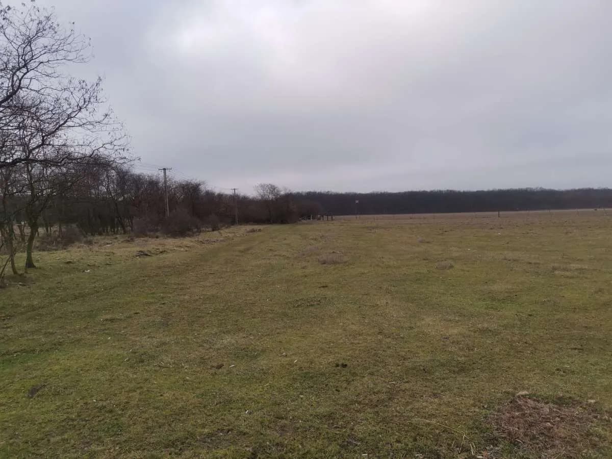 Immobilie kaufen in Österreich – 24 000 m² – Bild 4 von 4
