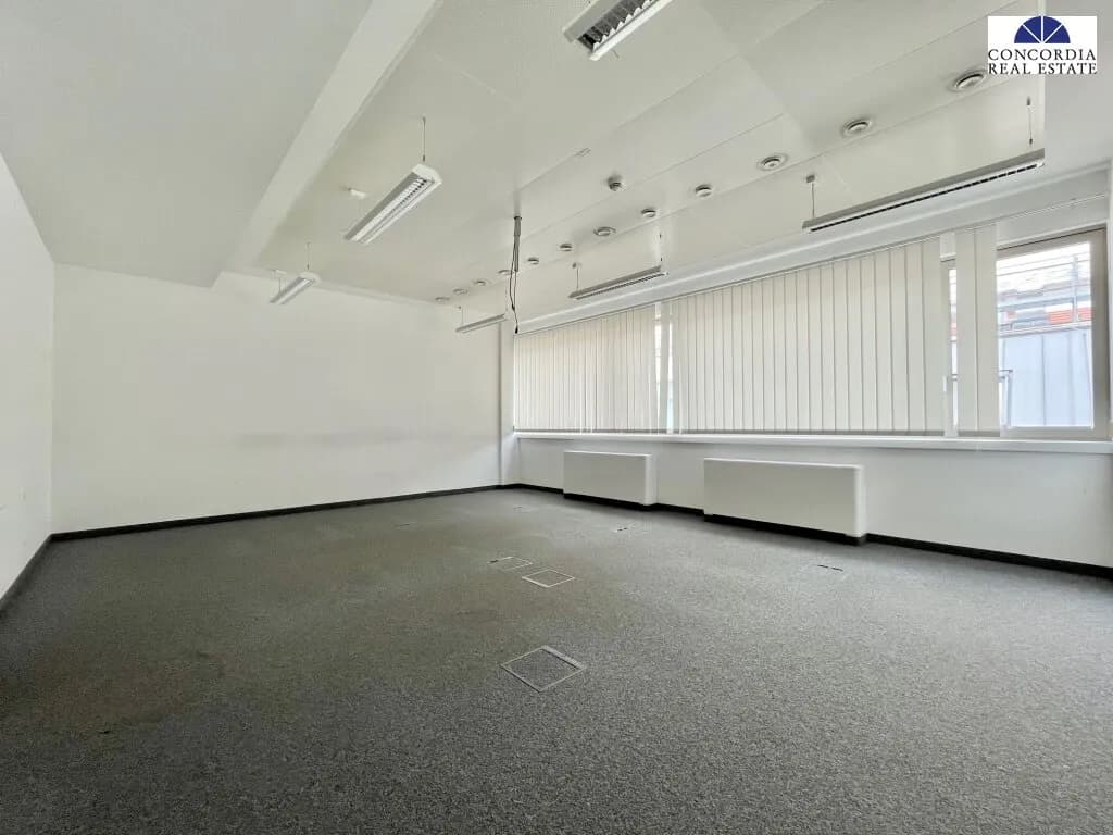 Gewerbeimmobilie mieten in Wien – 1 612 m² – Bild 2 von 18
