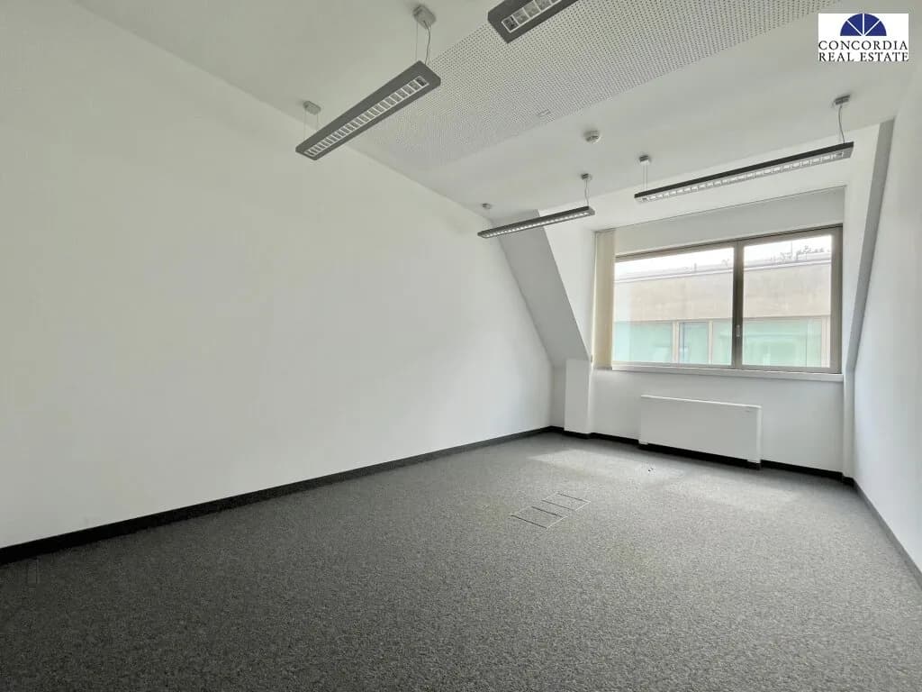 Gewerbeimmobilie mieten in Wien – 1 612 m² – Bild 5 von 18