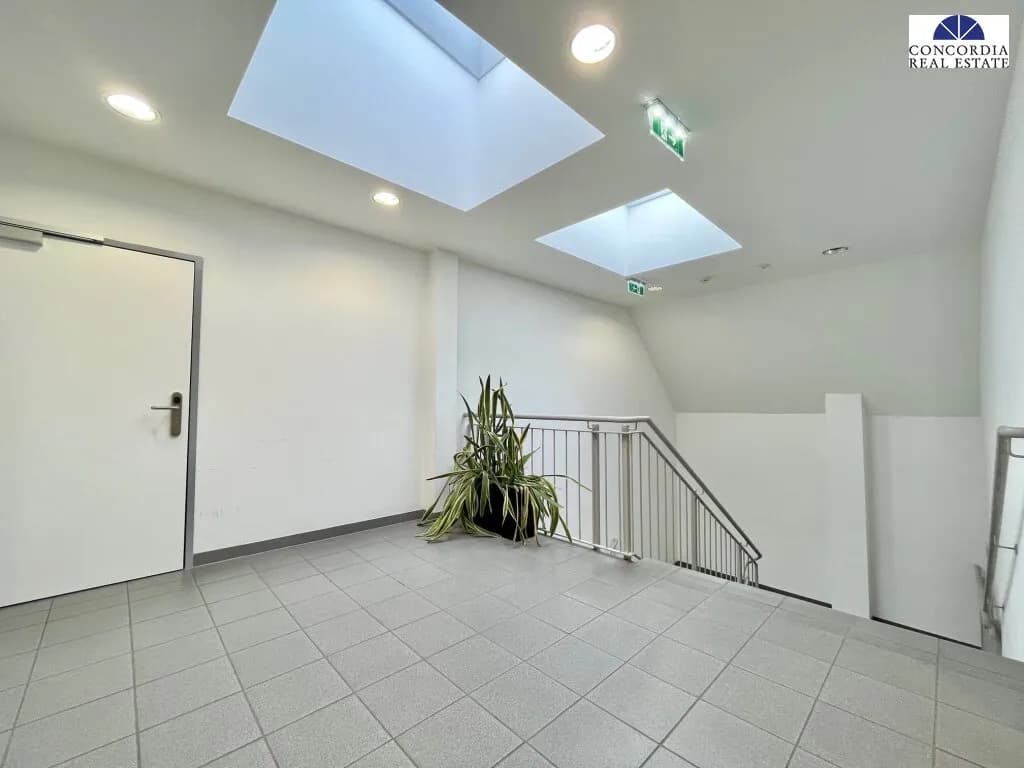 Gewerbeimmobilie mieten in Wien – 1 612 m² – Bild 15 von 18