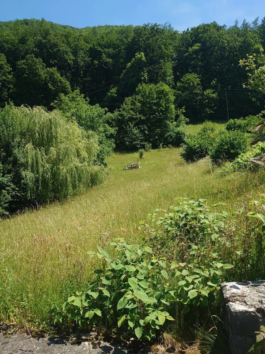 Grundstück kaufen in Steyr-Land – 1 408 m², € 268.000