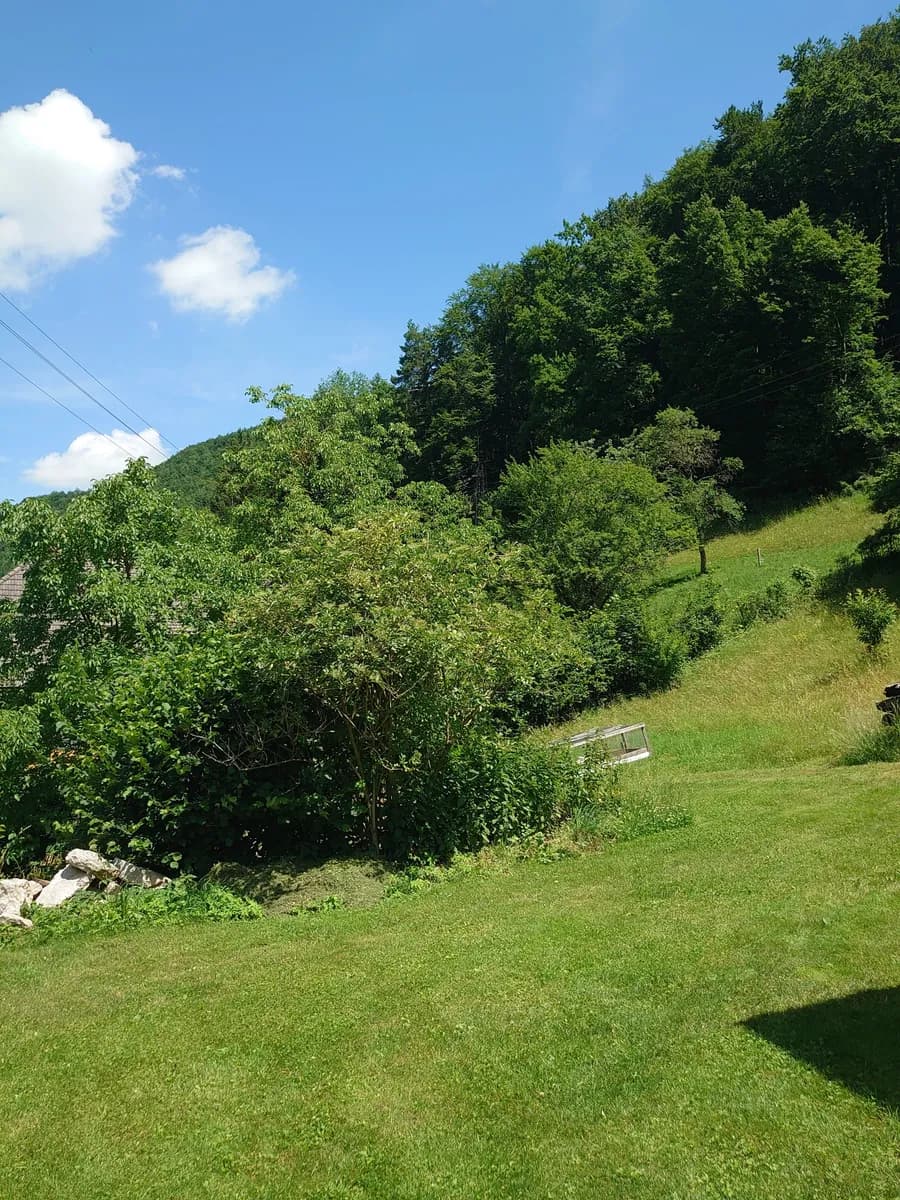 Grundstück kaufen in Steyr-Land – 1 408 m², € 268.000 – Bild 2 von 6