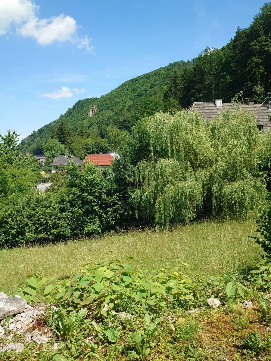 Grundstück kaufen in Steyr-Land – 1 408 m², € 268.000 – Bild 4 von 6