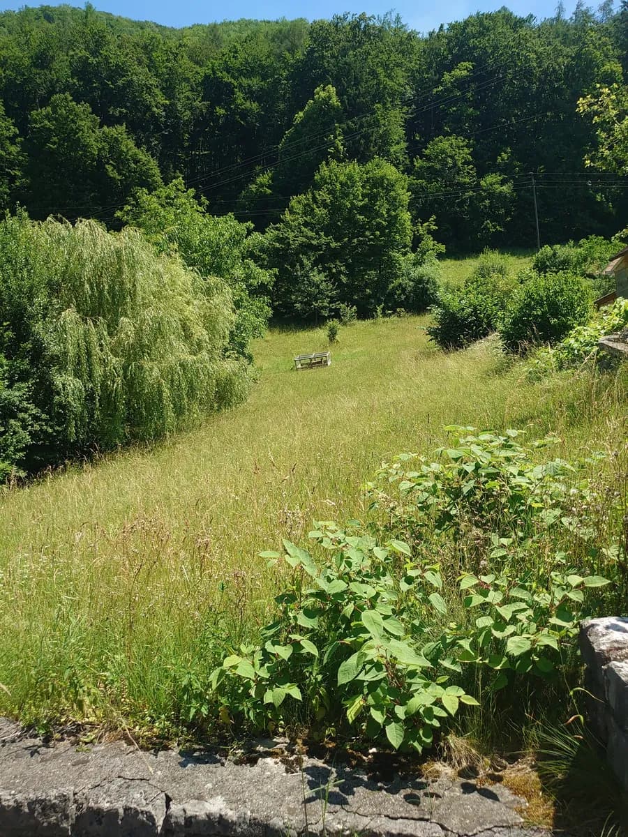 Grundstück kaufen in Steyr-Land – 1 408 m², € 268.000 – Bild 5 von 6
