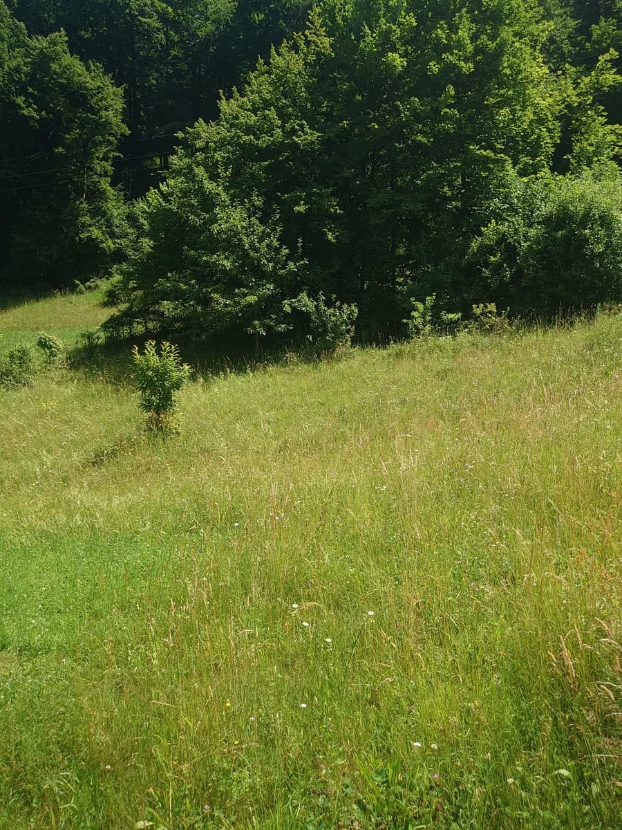 Grundstück kaufen in Steyr-Land – 1 408 m², € 268.000 – Bild 6 von 6