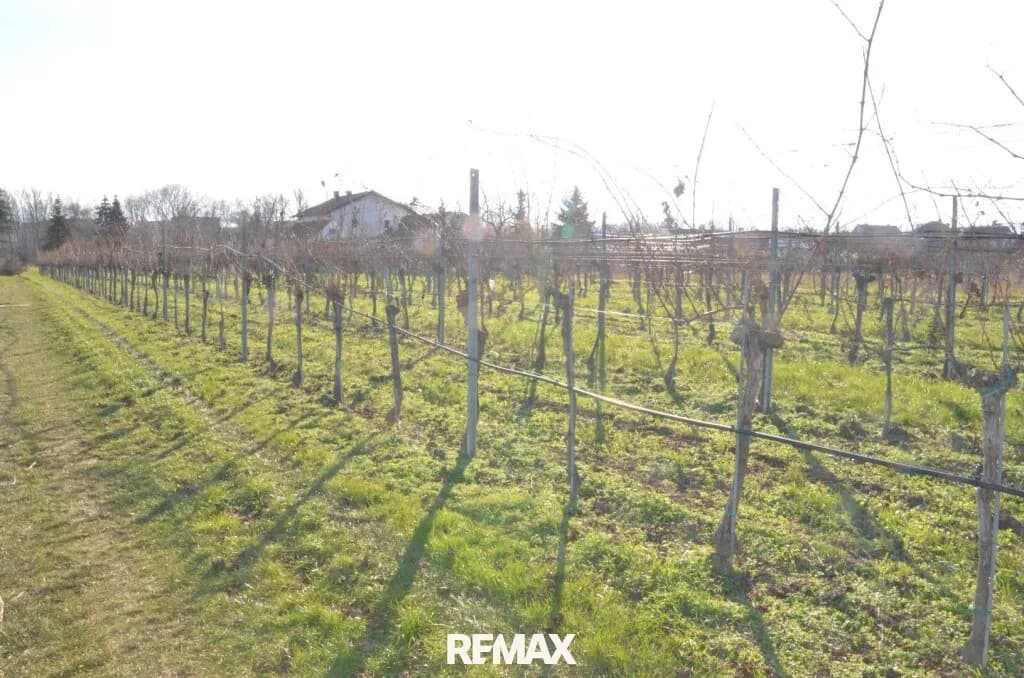 Grundstück kaufen in Krems Land – 2 273 m², € 368.000 – Bild 4 von 8