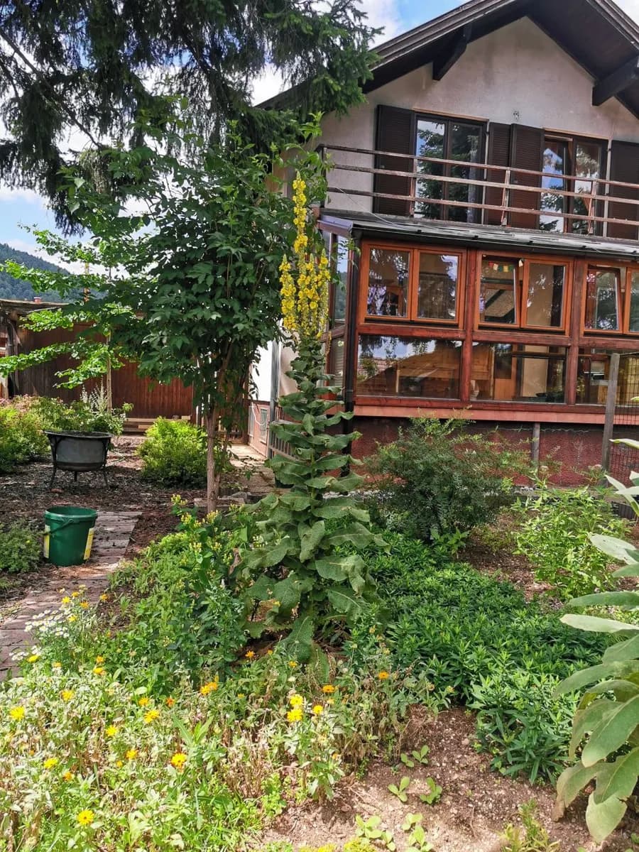 6-Zimmer-Haus mieten in Neunkirchen – 160 m², € 1.400 – Bild 2 von 36