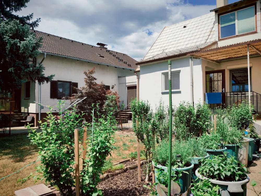 6-Zimmer-Haus mieten in Neunkirchen – 160 m², € 1.400 – Bild 5 von 36