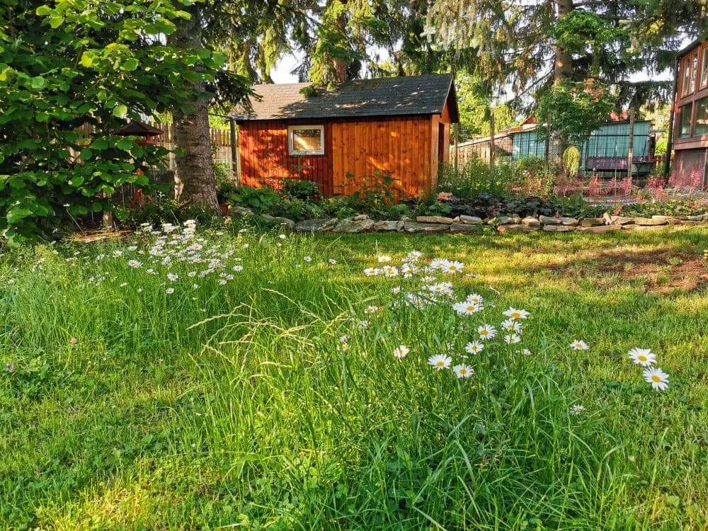 6-Zimmer-Haus mieten in Neunkirchen – 160 m², € 1.400 – Bild 8 von 36