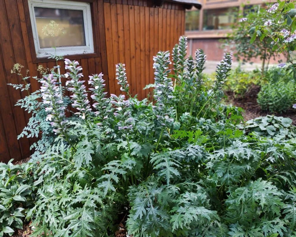 6-Zimmer-Haus mieten in Neunkirchen – 160 m², € 1.400 – Bild 13 von 36