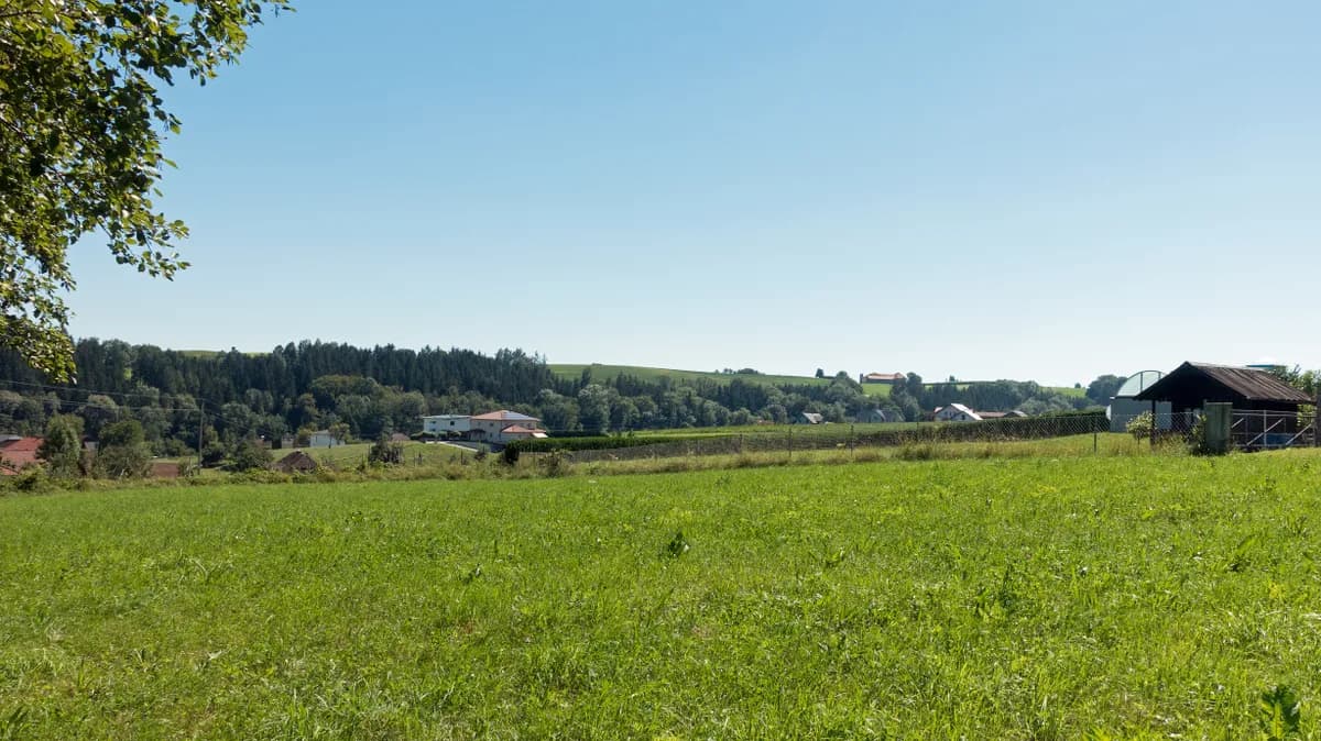 Grundstück kaufen in Grieskirchen – 1 390 m², € 273.000 – Bild 2 von 5