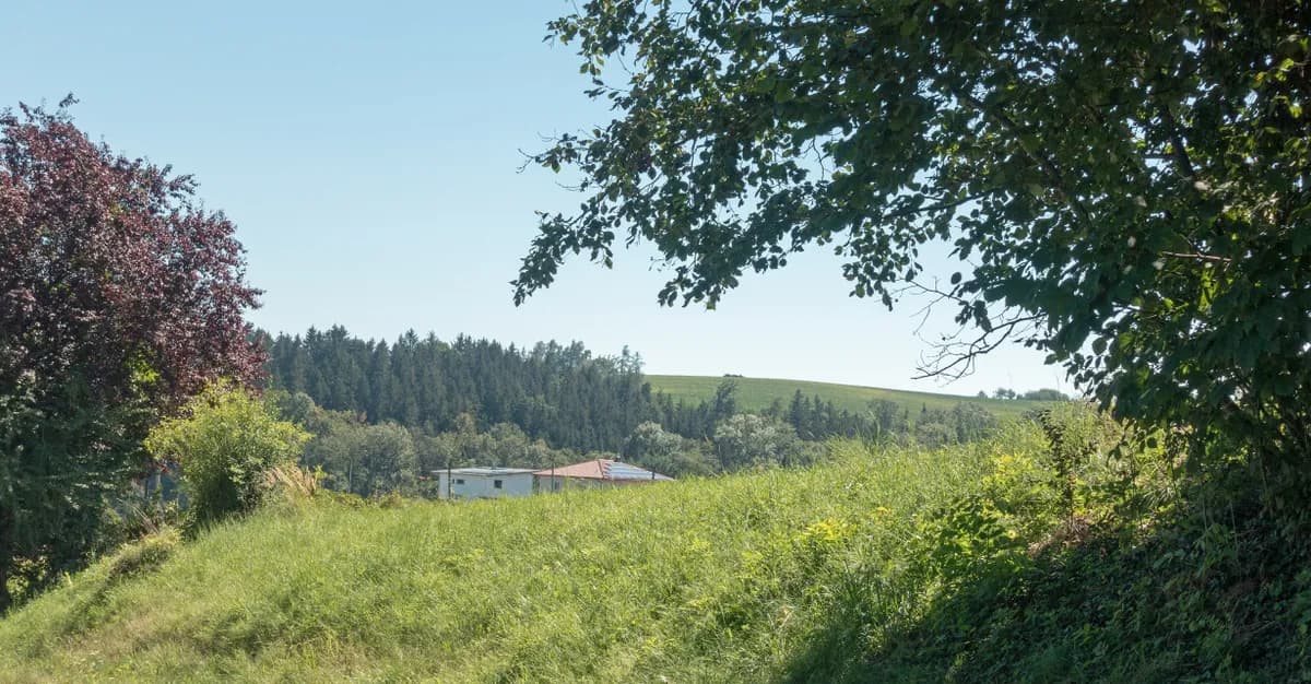 Grundstück kaufen in Grieskirchen – 1 390 m², € 273.000 – Bild 3 von 5
