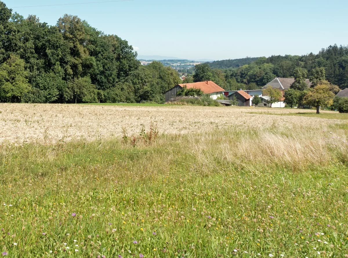 Grundstück kaufen in Grieskirchen – 1 390 m², € 273.000 – Bild 4 von 5