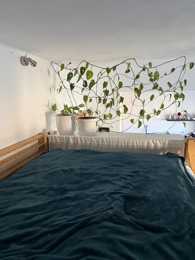 1-Zimmer-Wohnung kaufen in Graz – 40 m², € 189.000 – Bild 5 von 13