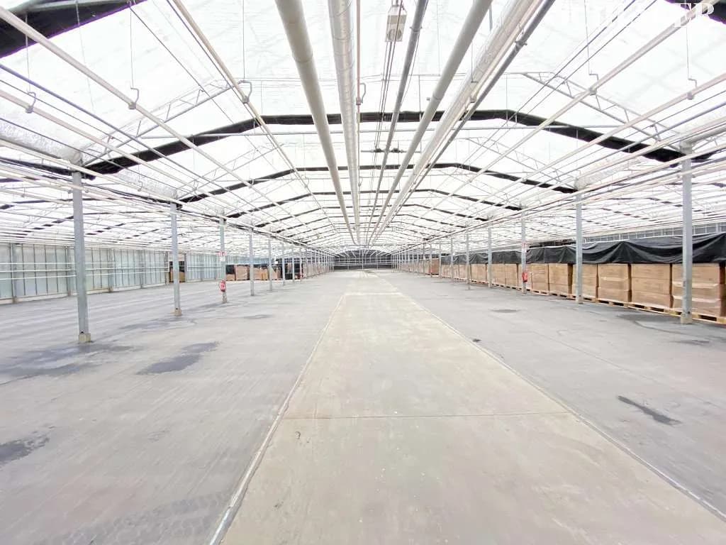 Gewerbeimmobilie mieten in Graz – 1 000 m², € 7.500 – Bild 2 von 5