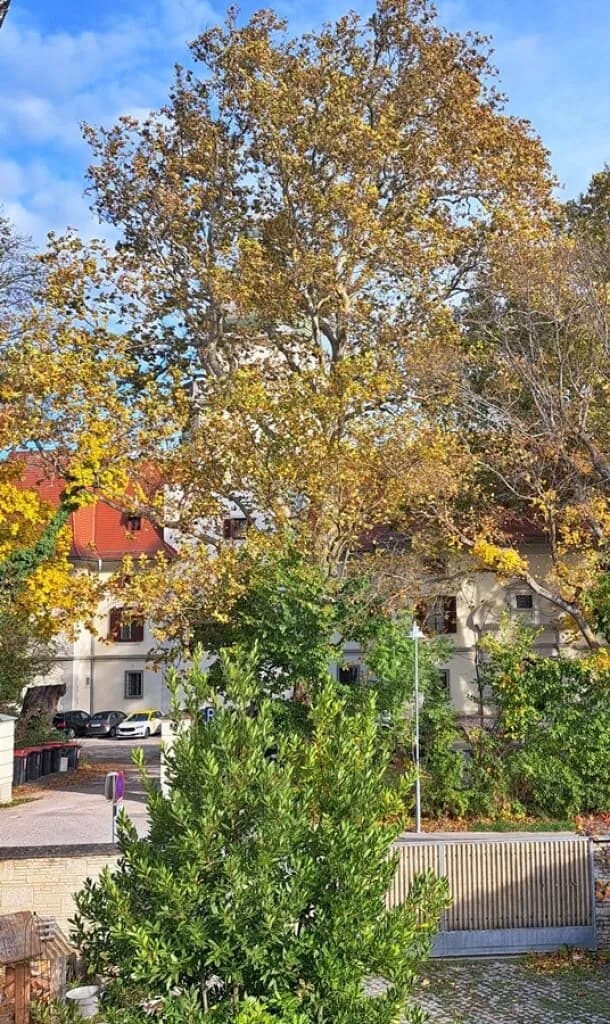 8-Zimmer-Wohnung kaufen in Baden – 354,82 m², € 930.000 – Bild 19 von 50