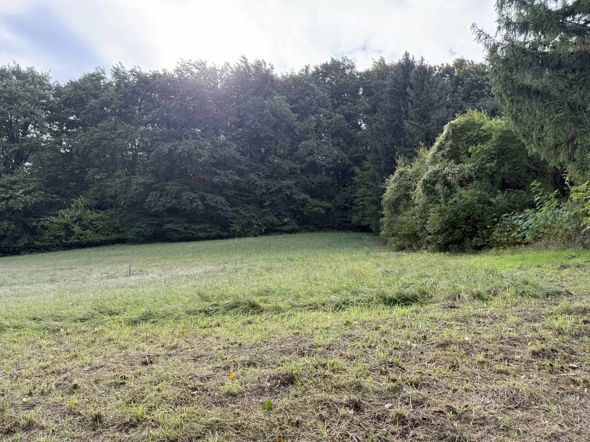 Grundstück kaufen in Mödling – 1 023 m², € 260.000 – Bild 2 von 5